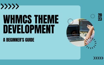 Expert Tips for Successful WHMCS Theme Development